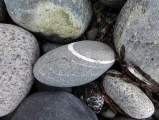 A variety of volcanic cobble stones on a beach in the Pacific Northwest