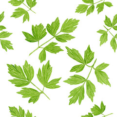 Hand drawn lovage seamless pattern isolated on white background, Levisticum officinale. Botanical illustration.