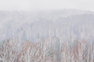 Obraz premium Krasnoyarsk