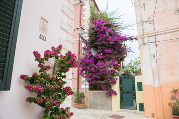 Fototapeta na wymiar Beautiful street decorated with flowers in Italy