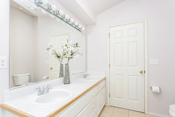 Fototapeta na wymiar White bathroom interior with vaulted ceiling.