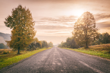 Fototapeta premium Scenic country road at sunset with autumn trees and yellow cloudy sky, vintage image, natural seasonal outdoor background