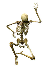 3D Rendering Human Skeleton on White