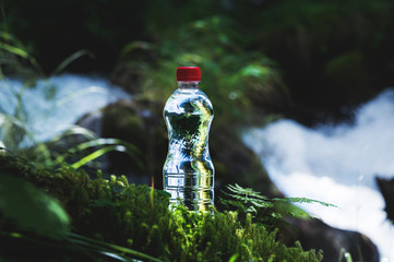 Transparent plastic A bottle of clean water with a red lid stands in the grass and moss on the...
