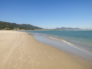 Fototapeta na wymiar A view of Ponta das Canas beach - Florianopolis, Brazil