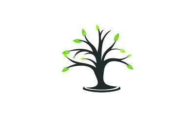 plant garden vector