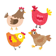 chicken vector collection design