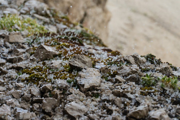 Closeup detailed view of hail falling to the limestone rock with a pieces of light green grass. Diagonal composition with light background.