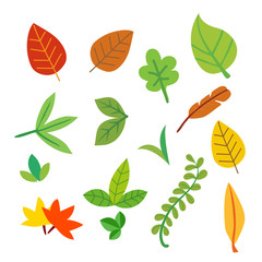 leaf vector collection design