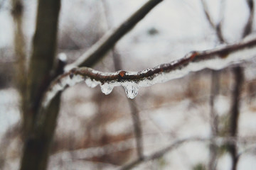 Icy branch macro.