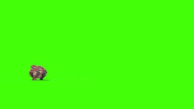 Ankylosaurus Dinosaurs Run 3D Animation Green Screen Jurassic Park