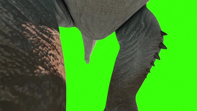 Dinosaur Titanosaur Walks Down Green Screen 3D Rendering Animation Jurassic World