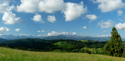 Panorama Tatr z Gliczarowa
