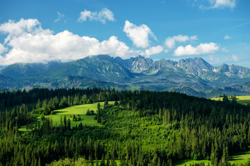 Fototapeta na wymiar Panorama Tatr widok z Gliczarowa Górnego