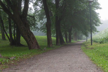 Walking path between trees and the hill with the morning mist in Toompark, Tallinn, Estonia