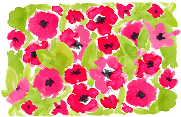 Watercolor blossom red flowers illustration. Raster hand drawn element