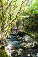 Naklejka premium Morigerati, Oasi WWF Grotte del Bussento, Parco Nazionale di Cilento, Provinz Salerno, Region Campania, Kampanien, Italien