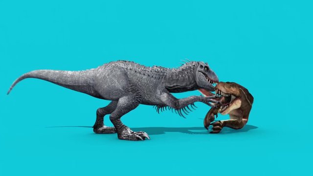 Jurassic World T Rex vs Indominus Rex Blue Screen 3D Rendering Animation