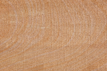 .Beautiful texture on a sandstone stone.