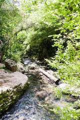 Morigerati, Oasi WWF Grotte del Bussento, Parco Nazionale di Cilento, Provinz Salerno, Region...