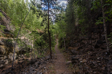 Fototapeta premium Abandoned ore mica mine quarry open pit in forest
