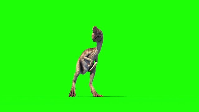 Oviraptor Dinosaurs Die Green Screen Jurassic World 3D Rendering Animation