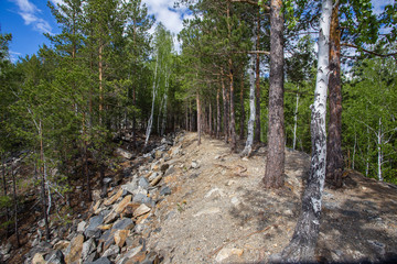 abandoned ore mine shaft slagheap in green forest