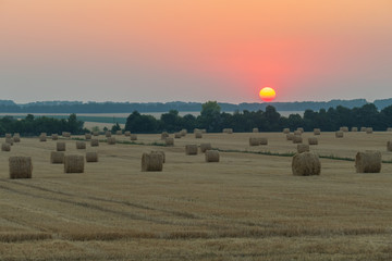 the pink sunset over the fields with the harvest of cereals