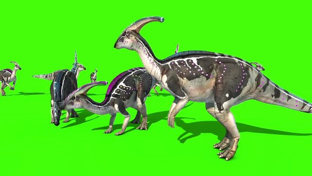 Parasaurolophus Eat Jurassic World Dinosaurs Green Screen 3D Rendering Animation