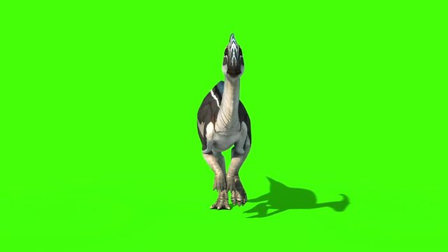 Parasaurolophus Walkcycle Front New Skin Jurassic World Dinosaurs Green Screen 3D Rendering Animation