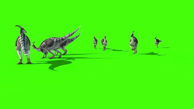 Parasaurolophus Walk Jurassic World Dinosaurs Green Screen 3D Rendering Animation