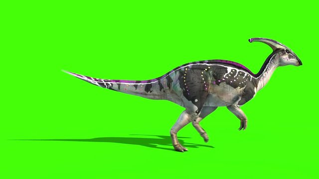Parasaurolophus Walkcycle Side Jurassic World Dinosaurs Green Screen 3D Rendering Animation