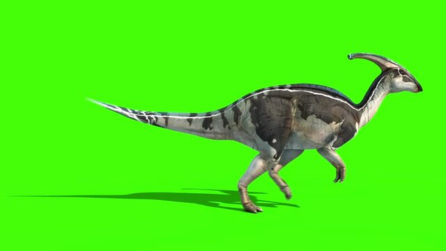 Parasaurolophus Walkcycle Side New Skin Jurassic World Dinosaurs Green Screen 3D Rendering Animation