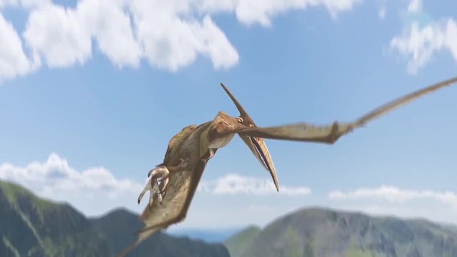 Pteranodon Dinosaurs Fly Attacks Dies Animated Background 3D Rendering