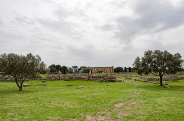Fototapeta premium Hera- (Poseidon-)Tempel, Archäologische Stätte Paestum, UNESCO, Parco Nazionale di Cilento, Provinz Salerno, Region Campania, Kampanien, Italien