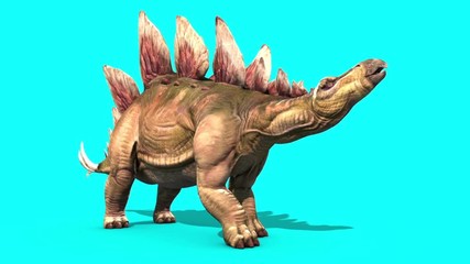 Stegosaurus Dinosaurs Blue Screen 3D Rendering Animation