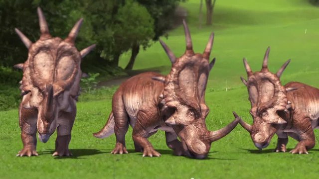 Group of Styracosaurus Triceratops Eat Dinosaurs Jurassic