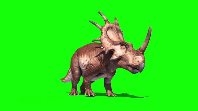 Styracosaurus Triceratops Attack Perspective Dinosaurs Jurassic Green Screen