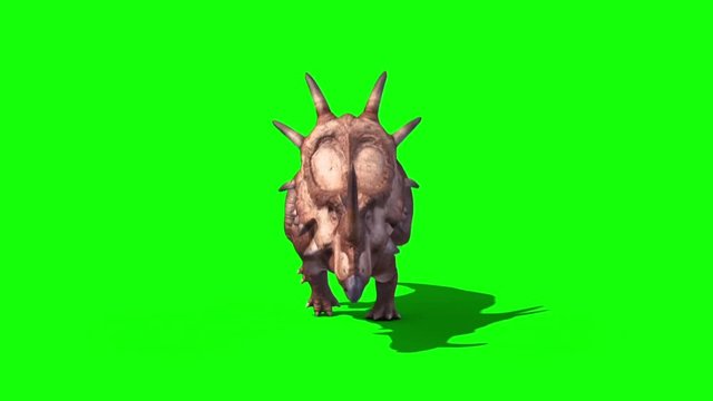 Styracosaurus Triceratops Run Front Static Loop Dinosaurs Jurassic Green Screen