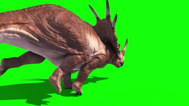 Styracosaurus Triceratops Run Back Static Loop Dinosaurs Jurassic Green Screen