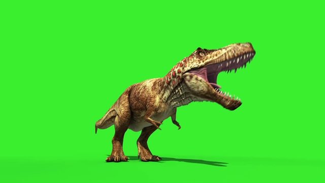 T Rex Tyrannosaur Feathered Roar Down Loop Jurassic World Dinosaurs Green Screen