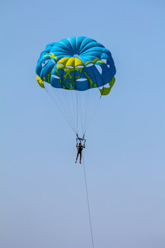Fly