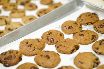baking fresh homemade chocolate chip cookies on tray
