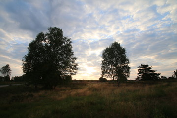 Fototapeta premium Wunderschöner Sonnenaufang über der Lüneburger Heide bei Wesel