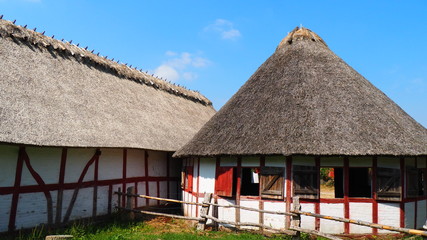Fototapeta na wymiar Danish farm buildings with thatched roofs