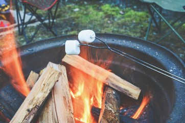 Marshmallows Roasting Over a Bonfire at a Campground