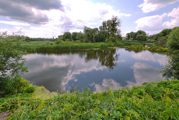 A small pond reflecting green trees and shrubs against the cloudy sky background