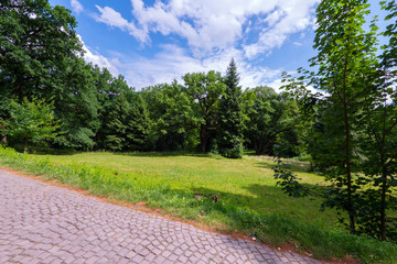 A green glade near a walking alley amid tall trees in the distance