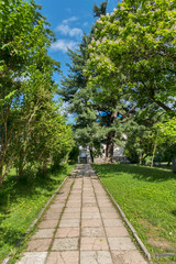 lane of stone slabs under the pines with a beautiful green lawn