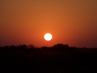 Beautiful African sunset 